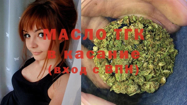 винт Лагань
