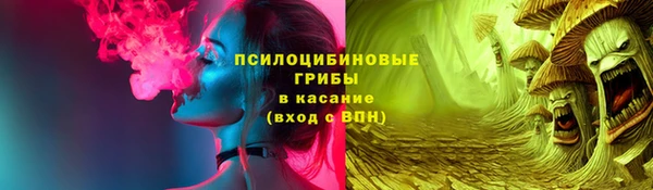 индика Ветлуга