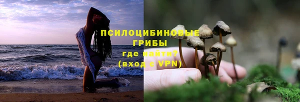 дурь Лабытнанги