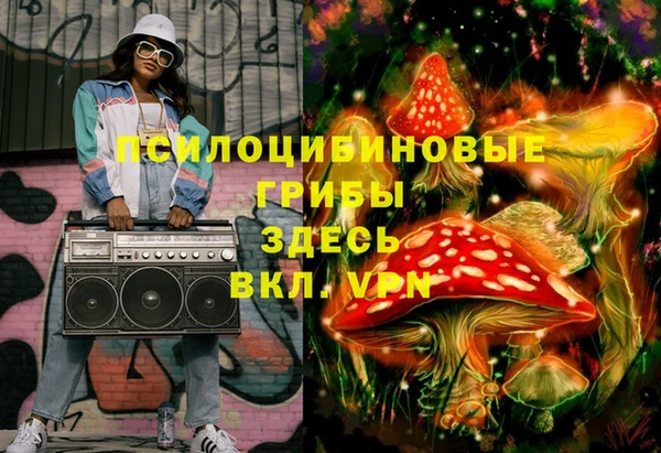 дурь Лабытнанги
