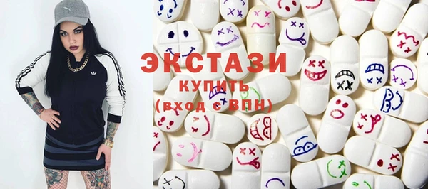 винт Лагань